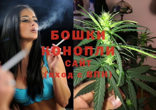 ешки Новодвинск
