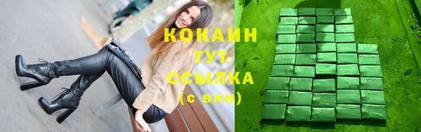 ешки Новодвинск
