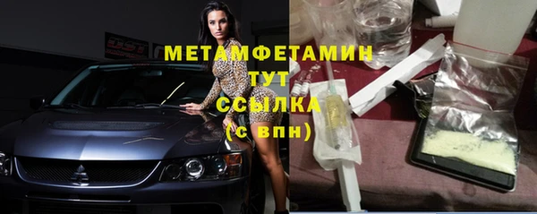 гидра Няндома