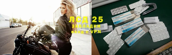 ешки Новодвинск