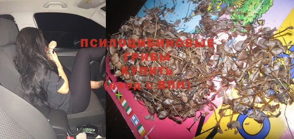 ешки Новодвинск