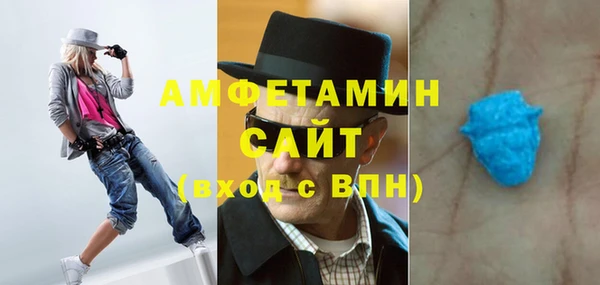 гидра Няндома