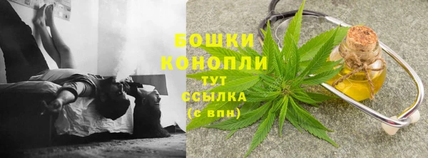 гидра Няндома