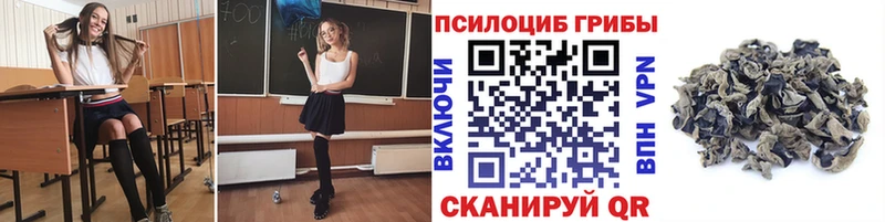 что такое   Саянск  Псилоцибиновые грибы ЛСД 