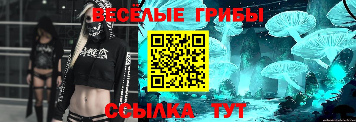 Псилоцибиновые грибы MAGIC MUSHROOMS Саянск
