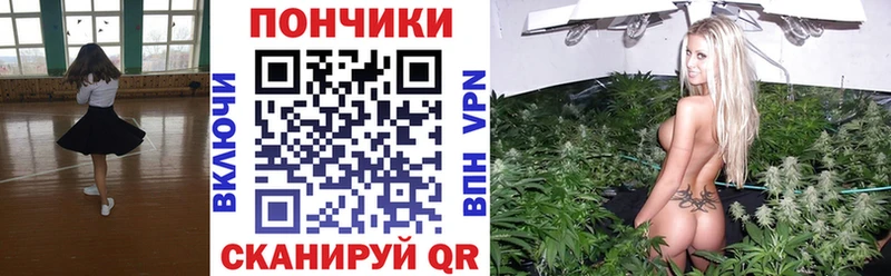как найти Саянск Каннабис White Widow